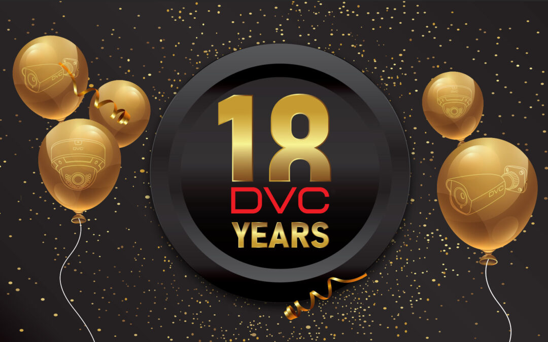 18 let DVC video nadzora